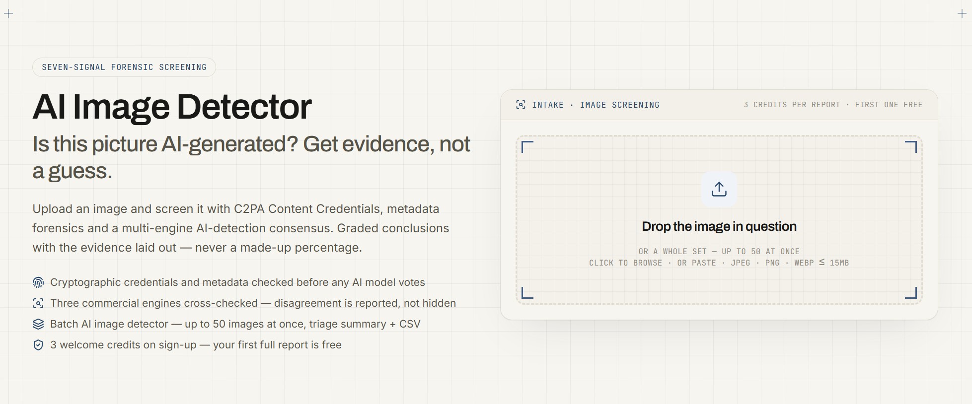 AI Image Detector screenshot 1