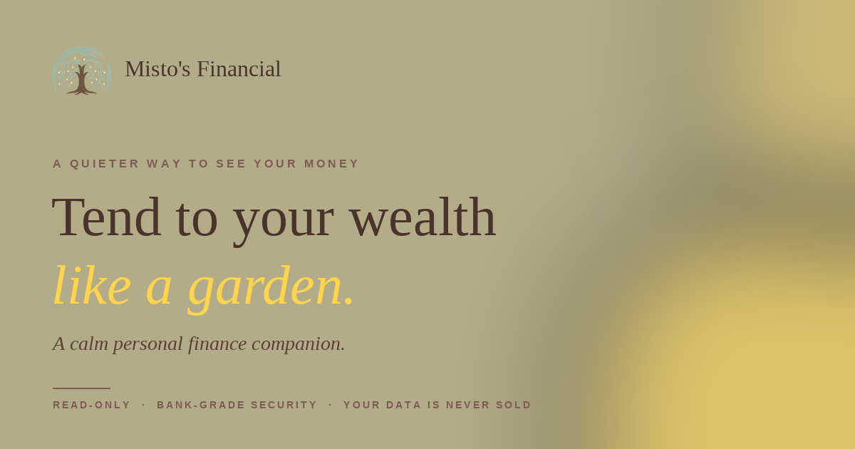 Misto's Financial screenshot 1